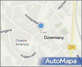 POL.Dziemiany