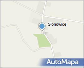 POL SŁONOWICE 001nn (43)