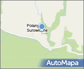 Polany Surowiczne hut01