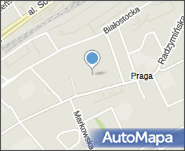 Polonez Analog projekt