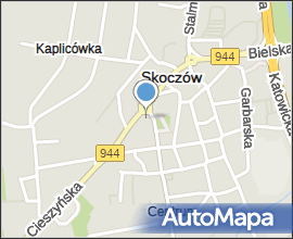 Pomnik Gustawa Morcinka 2009-04-26