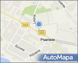 Psarskie - 310