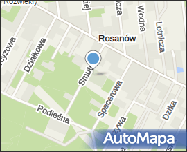 Rosanow cemetery 02