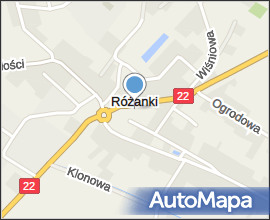 Różanki