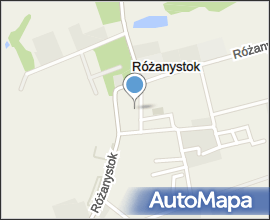 Rozanystok sanktuarium oltarz prawy