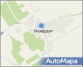 Ruiny zboru ariańskiego w Gruszczynie