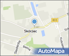 Skórzec - Publiczne Gimnazjum