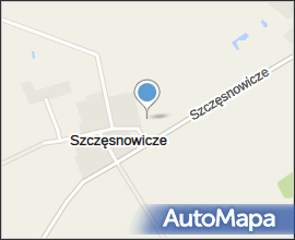 Szczęsnowicze - Road