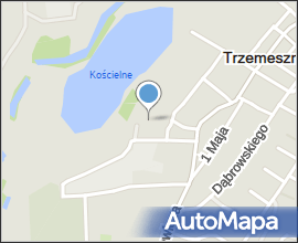 Trzemeszno bazylika NMP 01