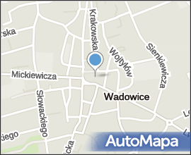 Wadowice - Basilica 03