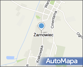 Żarnowiec krakowska