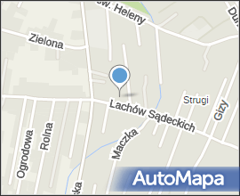 Zawisak powojowiec (Agrius convolvuli)-02-007