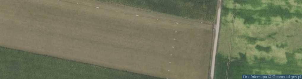 Zdjęcie satelitarne Lotnisko prywatne