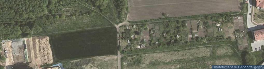 Zdjęcie satelitarne Tomasz Wałek Nauka i Biznes Konsulting Polska