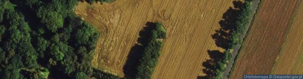 Zdjęcie satelitarne Agroturystyka Korysiówka