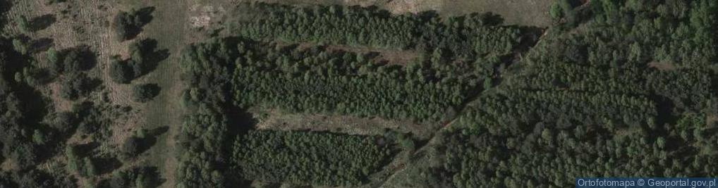 Zdjęcie satelitarne Agroturystyka Kruszyna