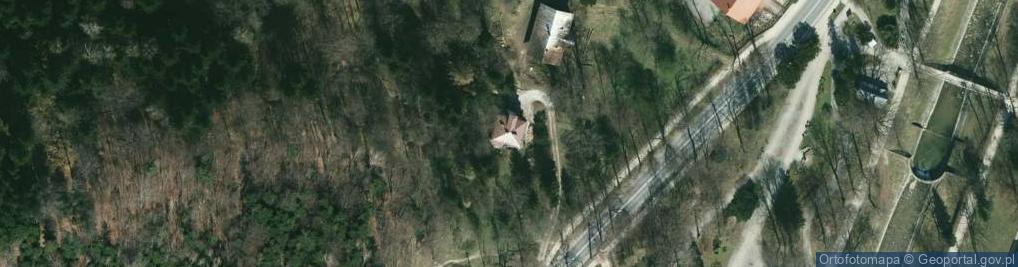 Zdjęcie satelitarne Nagłowice
