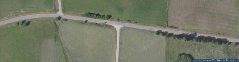 Zdjęcie satelitarne Ostoja