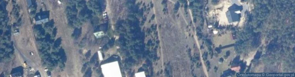 Zdjęcie satelitarne Willa Wilga