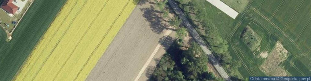 Zdjęcie satelitarne Allegro One Box Automaty