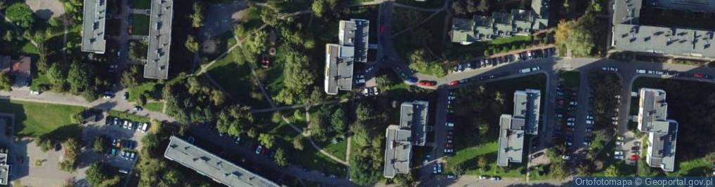 Zdjęcie satelitarne Allegro One Box Automaty