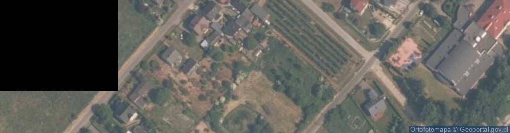 Zdjęcie satelitarne Arboretum w Rogowie
