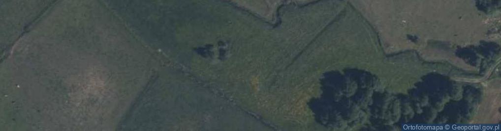 Zdjęcie satelitarne Dwór, park