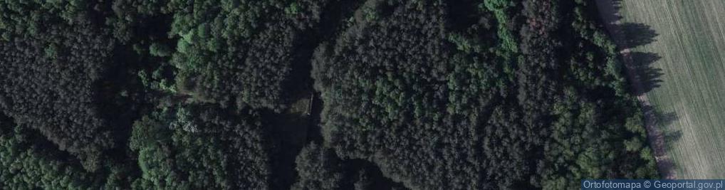 Zdjęcie satelitarne Fort O