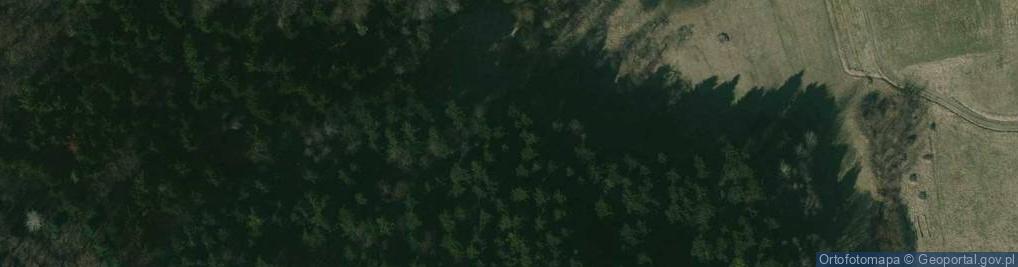 Zdjęcie satelitarne Grodzisko - Przeczyca
