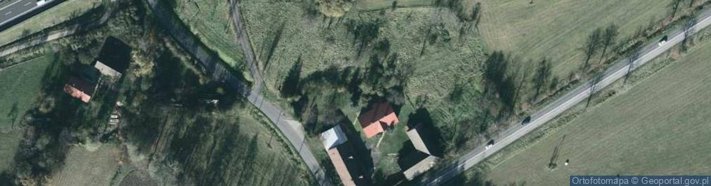 Zdjęcie satelitarne Grodzisko