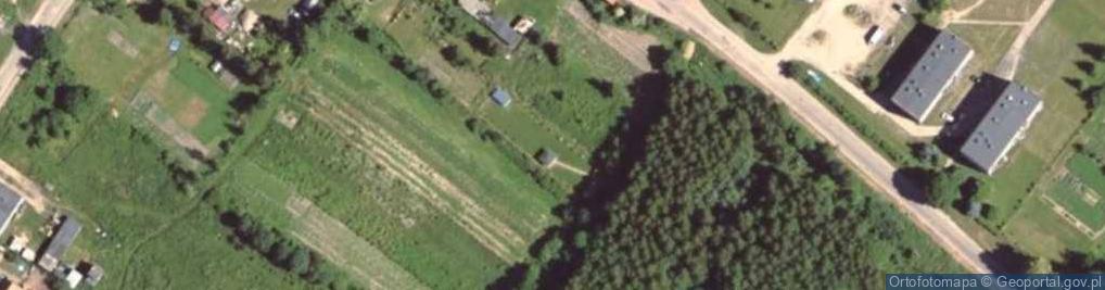 Zdjęcie satelitarne Grunwald