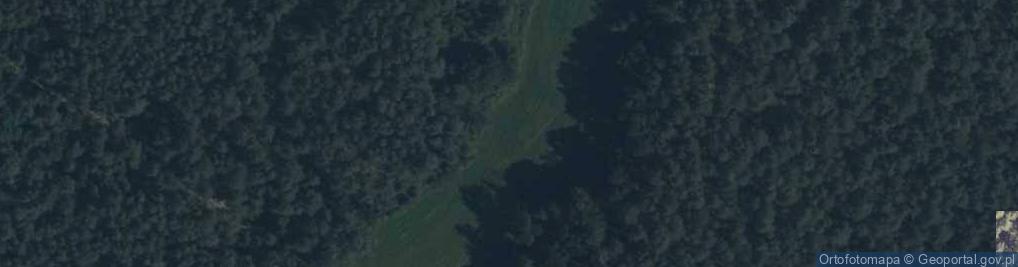 Zdjęcie satelitarne Nowiny