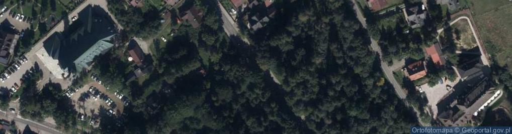 Zdjęcie satelitarne Pensjonat Palace