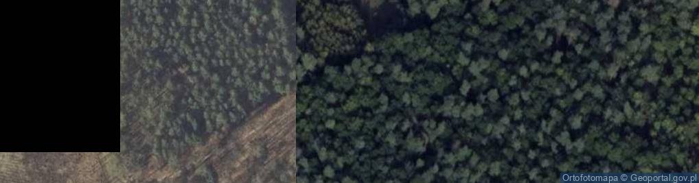 Zdjęcie satelitarne Ścieżka przyrodniczo-leśna "Dziewicza Góra"
