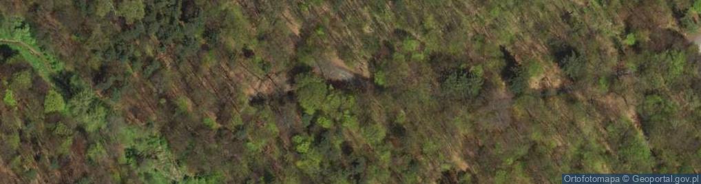 Zdjęcie satelitarne Sztolnia czarnego pstrąga st1