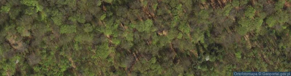 Zdjęcie satelitarne Sztolnia czarnego Pstrąga st2