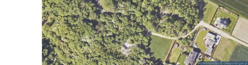 Zdjęcie satelitarne Wapiennik