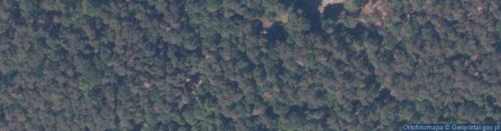 Zdjęcie satelitarne Zagroda pokazowa żubrów