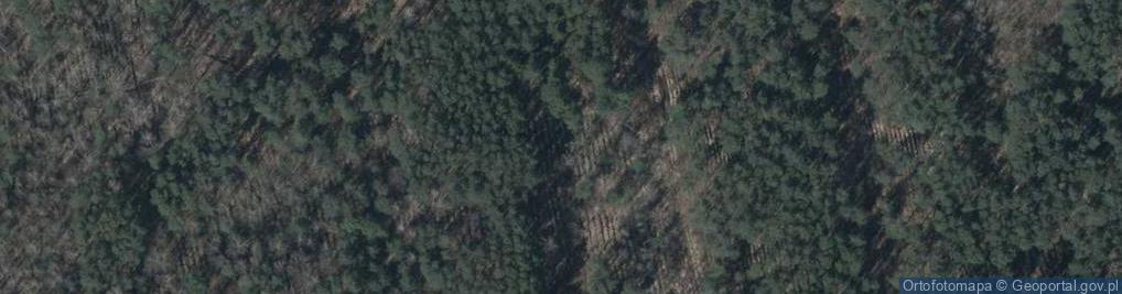 Zdjęcie satelitarne Easy Auchan Bp OSTRÓW KANIA PÓŁNOC