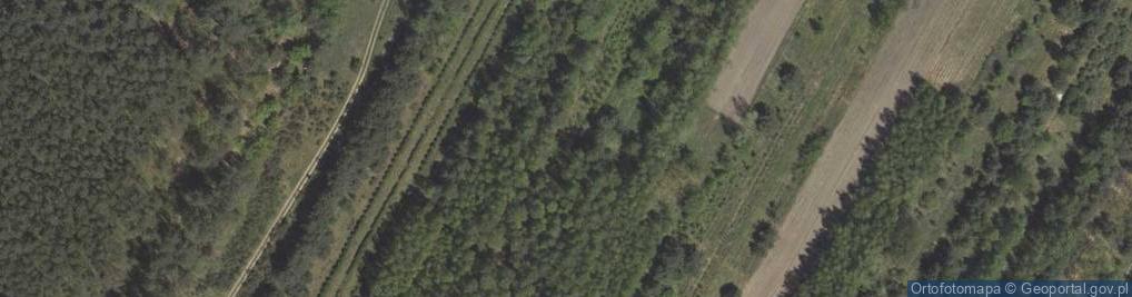Zdjęcie satelitarne MOP Janów Lubelski Zachód