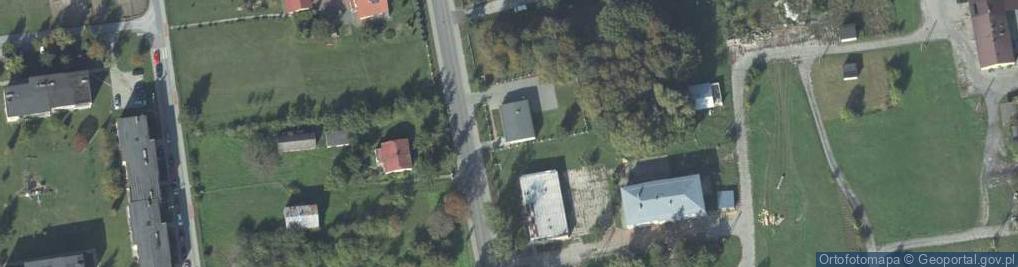 Zdjęcie satelitarne BS w Leśniowicach - oddział w Żmudzi