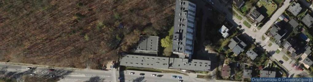 Zdjęcie satelitarne Dzidziuś