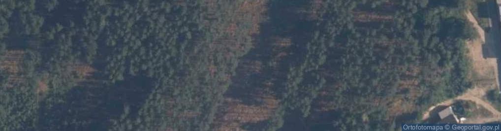Zdjęcie satelitarne Harcerska Baza Obozwa Hufca ZHP Gdynia