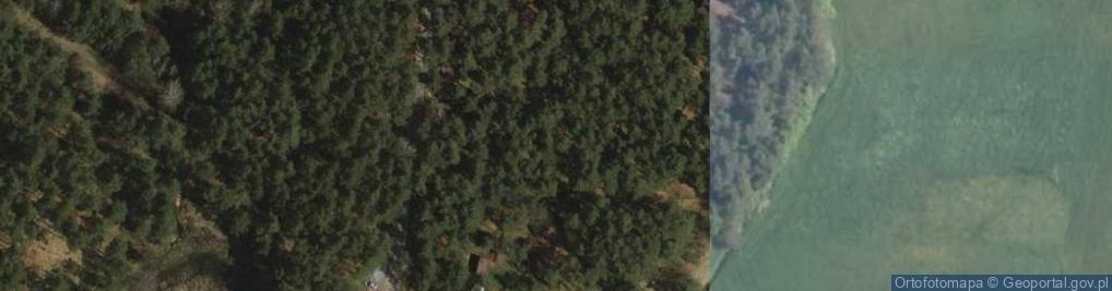 Zdjęcie satelitarne Ośrodek Harcerski Hufca ZHP Myszków W Siamoszycach