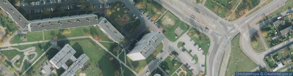 Zdjęcie satelitarne Nieruchomości "CONI-BOROWIECCY"