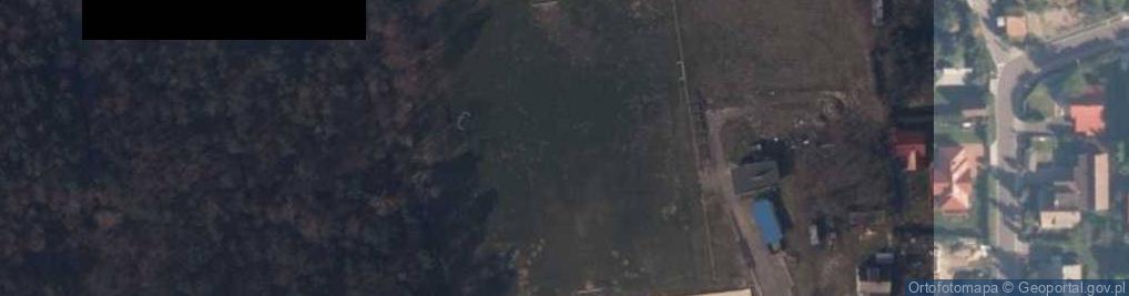 Zdjęcie satelitarne Bałtyk Sztutowo