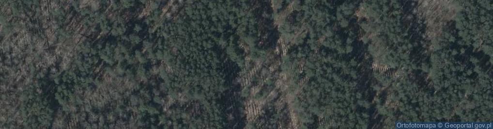 Zdjęcie satelitarne BP OSTROW KANIA POLNOC