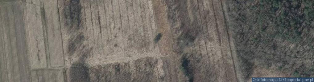 Zdjęcie satelitarne BP OSTROW KANIA POLUDNIE