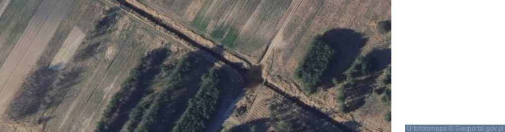 Zdjęcie satelitarne rz. Iłżanka