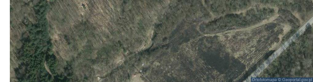 Zdjęcie satelitarne rz. Turnica